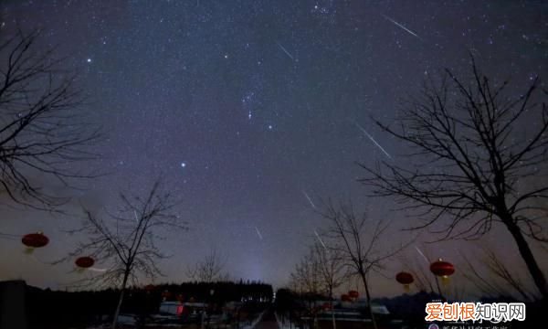 夜空礼花绽放照片