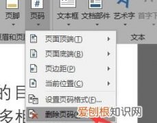 word该如何才可以修改页码，word如何快速调整页码内容