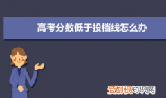 投档线和平均分有什么区别，投档线和综合分有什么区别