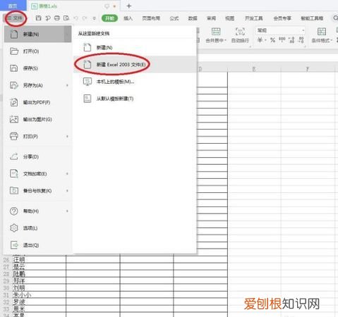 WPS表格中宏怎么启用，Excel表格应该怎么才可以用宏