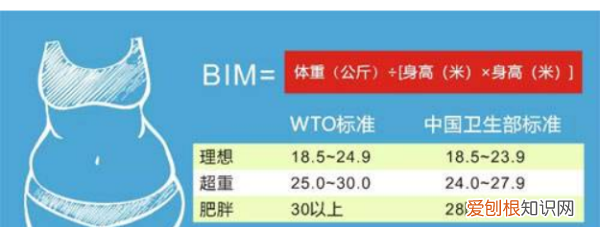 bml是什么，bml26.1是什么意思