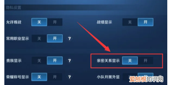 在王者荣耀咋隐藏亲密关系