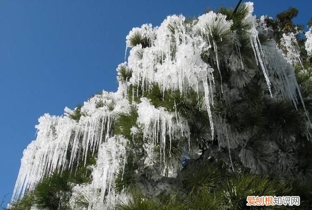 泰山海拔高度，东岳泰山西岳华山南岳衡山北岳恒山中岳嵩山的海拔各是多少米