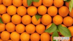 橙子能放冰箱里，橙子能放冰箱保存吗