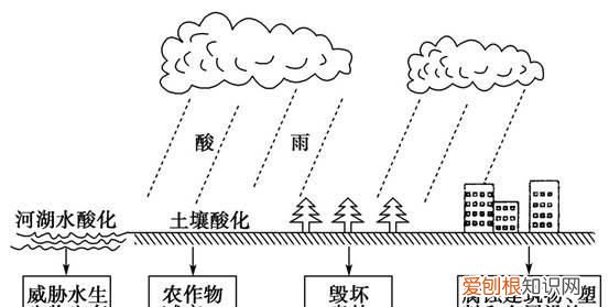 酸雨是怎样形成的