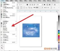 cdr应该怎样才可以导出成pdf