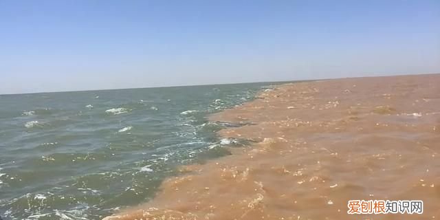 黄河水流入大海里面的河鱼能活吗 黄河里的淡水鱼进入海后能活吗