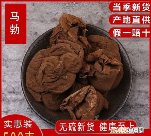 马屁菇能吃吗,可以吃的马粪包长什么样子