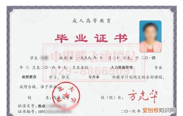 专升本和专转本有区别,专转本和专升本有什么区别