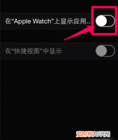 怎么在iwatch上装软件