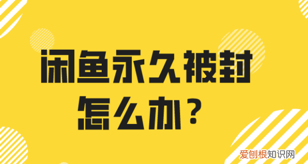 闲鱼上该咋注销账号，闲鱼账号可以注销重新申请吗