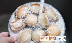 红烧鲍鱼做法，红烧鲍鱼家常的做法