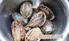 红烧鲍鱼做法，红烧鲍鱼家常的做法