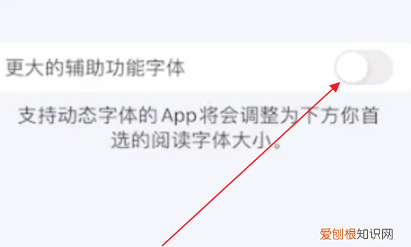苹果字体大小怎么才能设置，苹果手机字体大小怎么改变