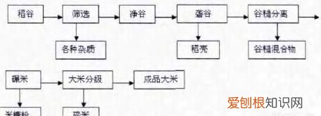 米类都有什么米，超市的大米为什么有的是半透明的农村老家种的却是纯白色的