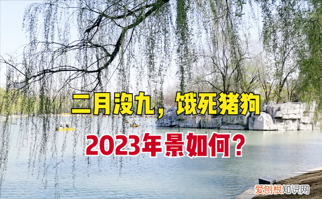 2023年二月份一共有几天