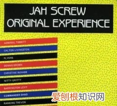 experience歌曲含义