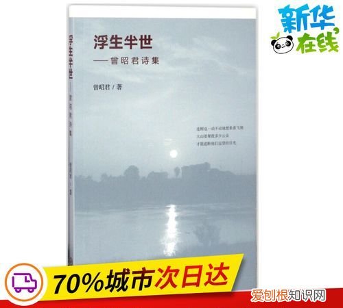 半世浮生半世梦下一句，浮生半世一杯酒下一句是什么