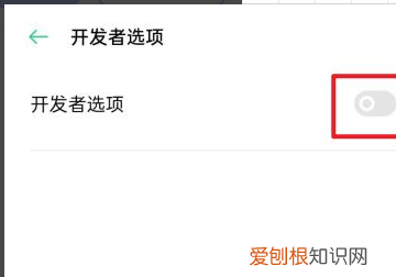 如何关闭开发者模式oppo