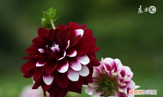 二十句非常经典的哲理爱情格言有哪些