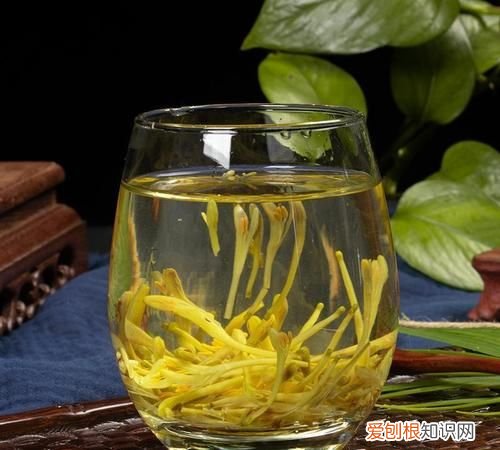 金银花和玫瑰花泡水喝的功效