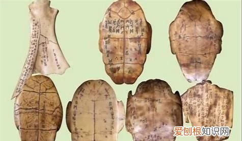 文字的演变过程，历史文字的演变过程是什么