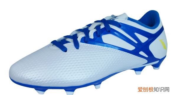 期货lpg是什么品种，ag是什么品种的牛种