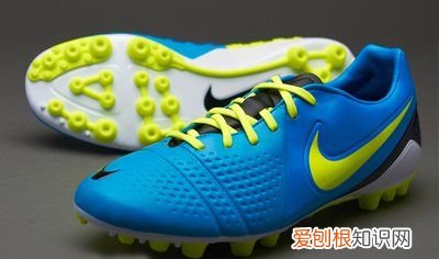 期货lpg是什么品种，ag是什么品种的牛种