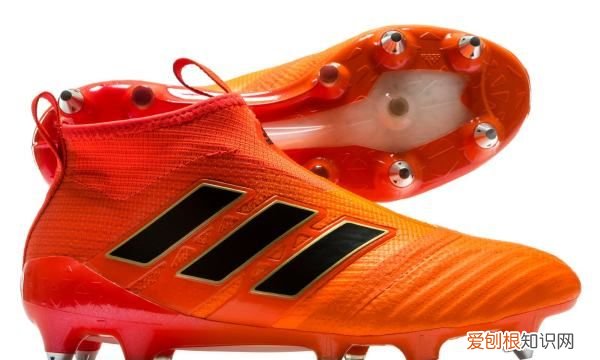 期货lpg是什么品种，ag是什么品种的牛种