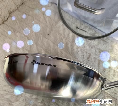 ammeloo是什么牌子