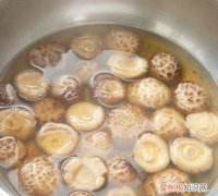 香菇几分钟能煮熟，干香菇多长时间能炖熟