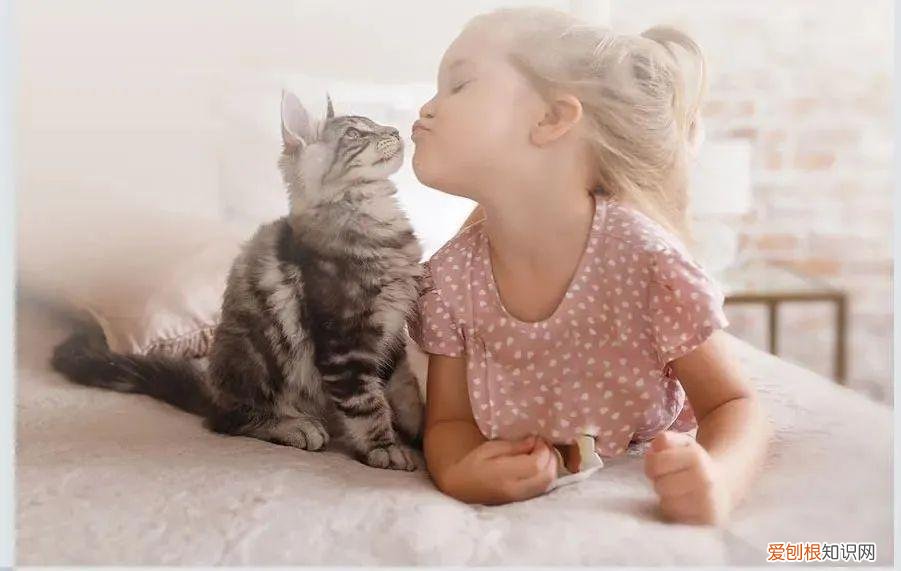 动保业务排名全球第六的维克，在中国上新两款驱虫产品