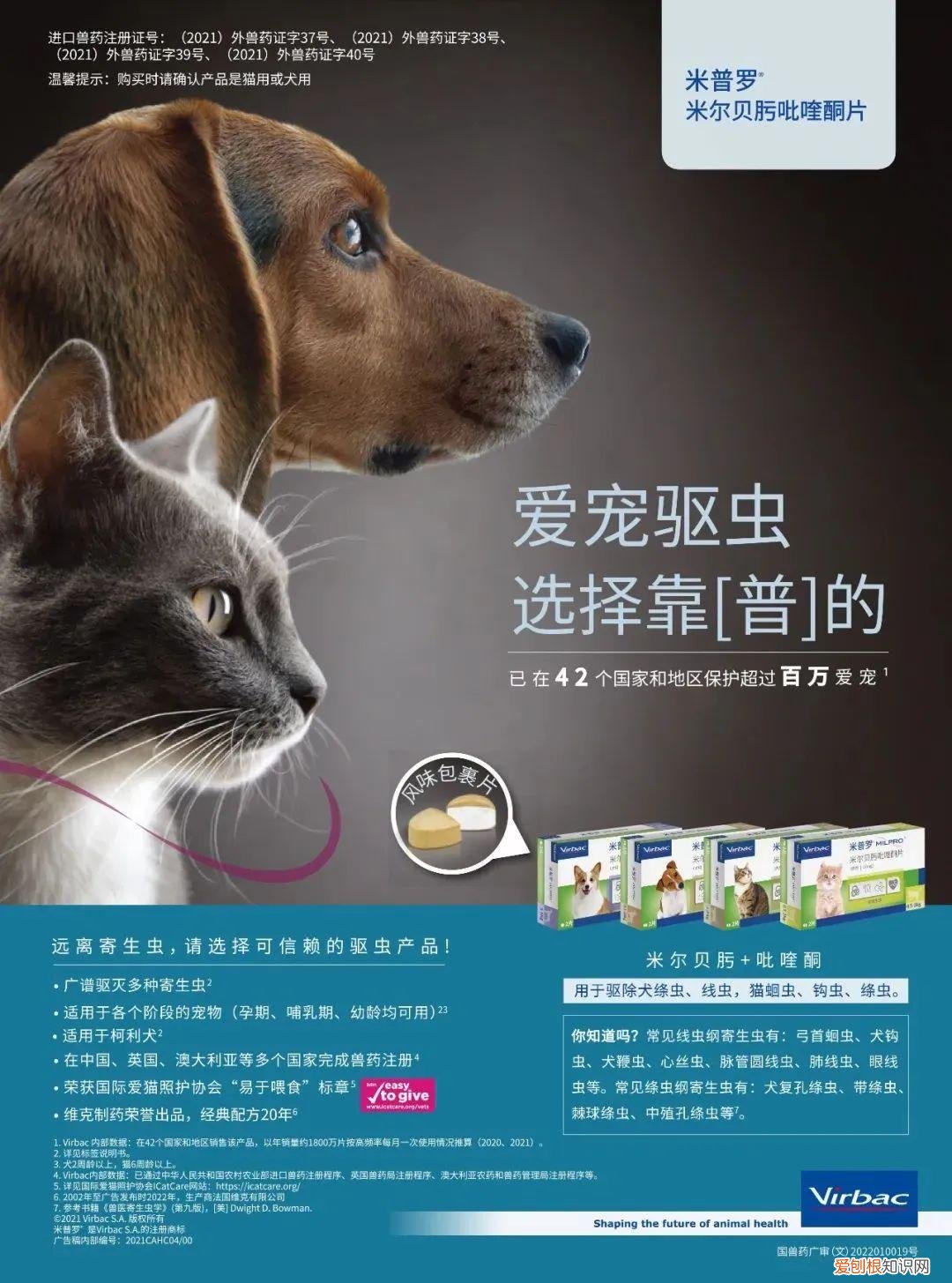 动保业务排名全球第六的维克，在中国上新两款驱虫产品