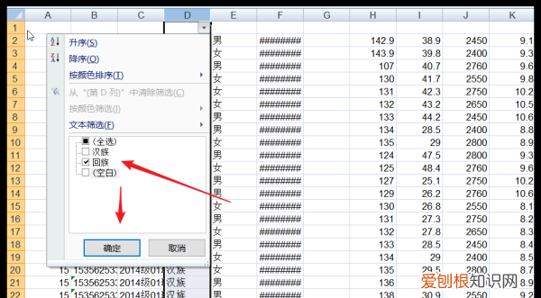 怎样用excel，Excel表格如何分类筛选