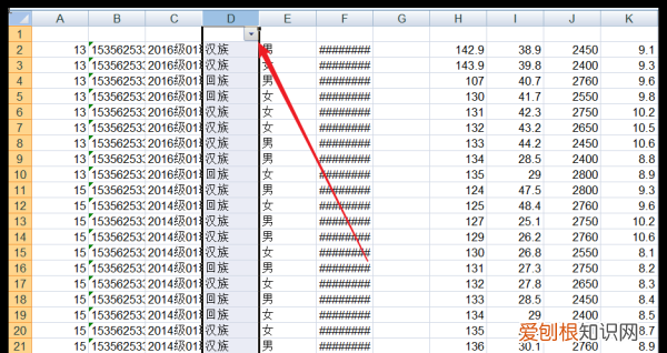 怎样用excel，Excel表格如何分类筛选