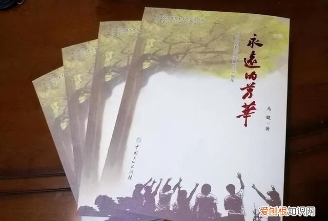 中师的题怎么样,有关中师的书