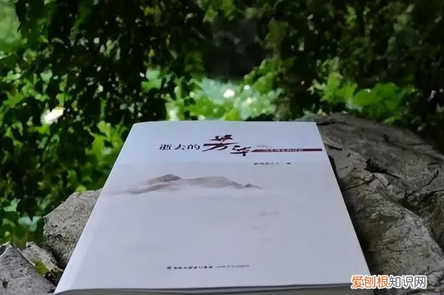 中师的题怎么样,有关中师的书