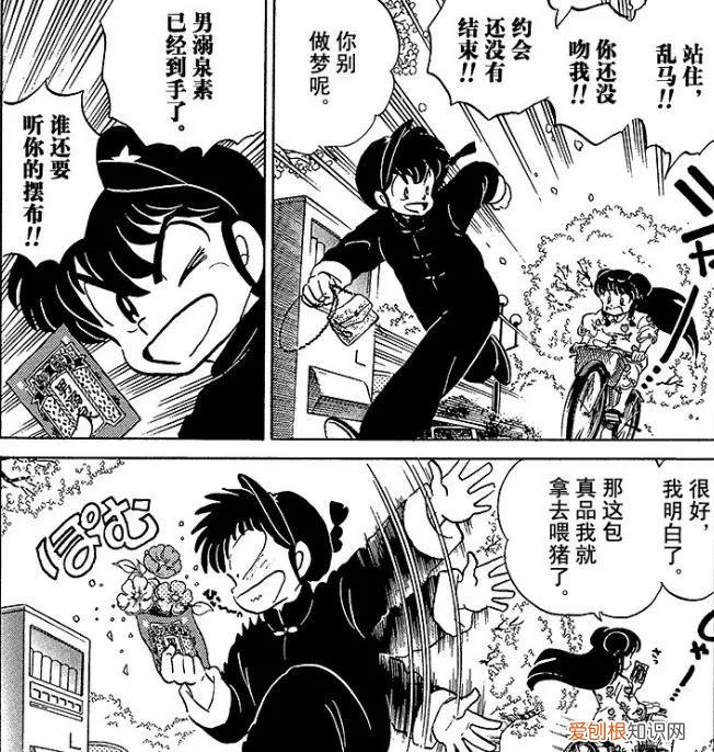 《乱马》珊璞乱马约会篇