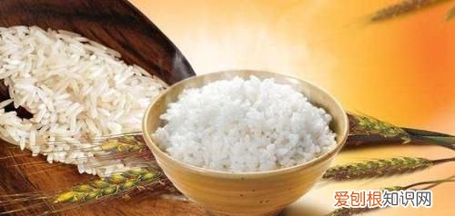 米饭的热量高还是面条热量高，米线粉丝米饭面条哪个热量最高