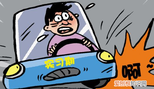 实习期上高速会被吊销,实习期上高速是否会被吊销驾照