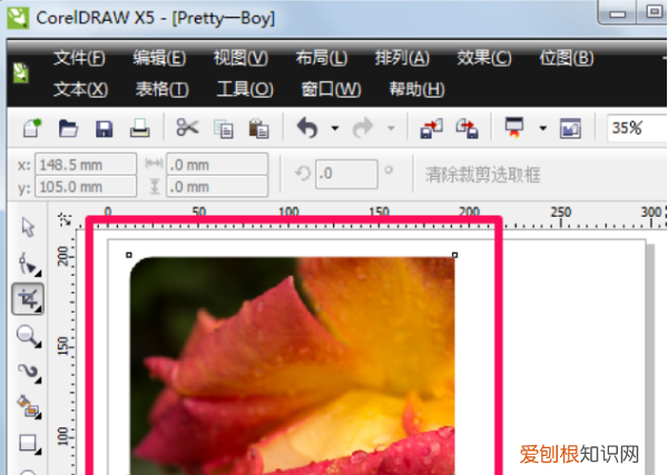 cdr如何使用裁剪工具，coreldraw如何裁剪图片
