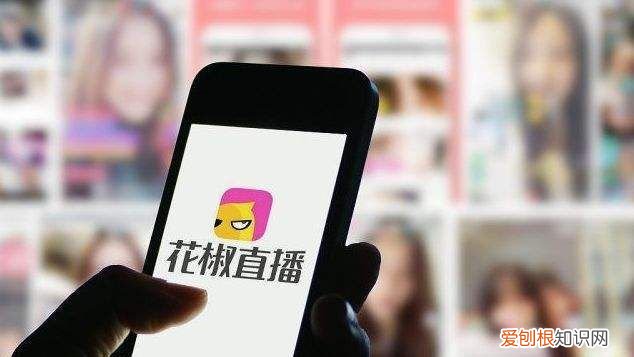 花椒娃娃解析,花椒直播该怎样才能调声音