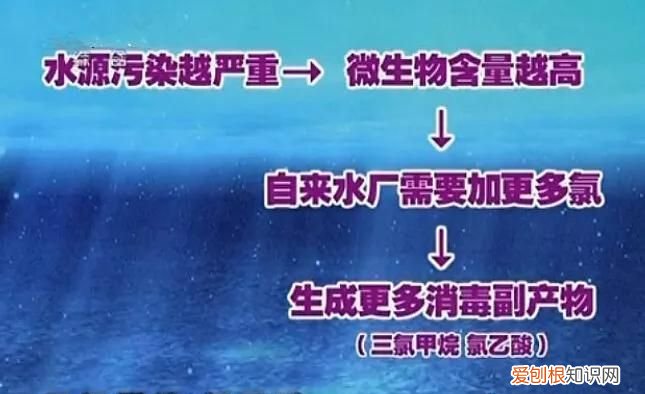 自来水的氯对人体有害吗