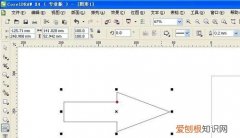 cdr要怎样才可以画图