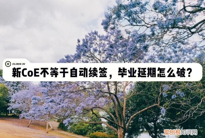 coe是什么意思二次元