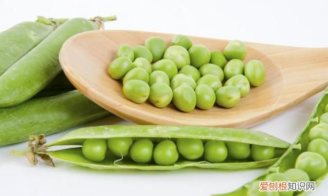 荷兰豆发芽了还能吃，豌豆出牙了还能吃吗?