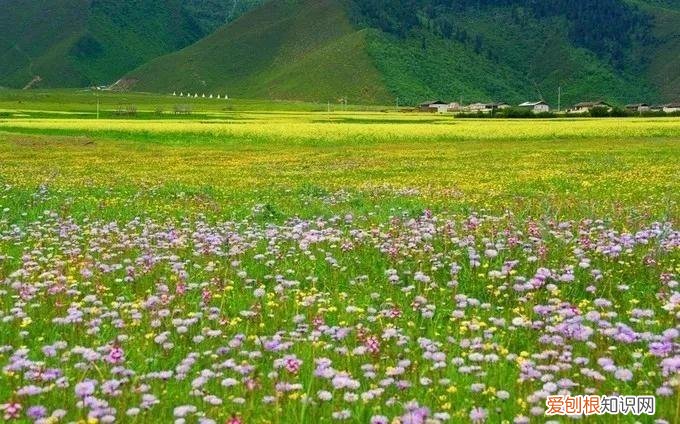 天香格里拉普达措国家公园