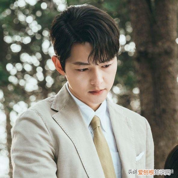 黑道律师16集在线观看 ！