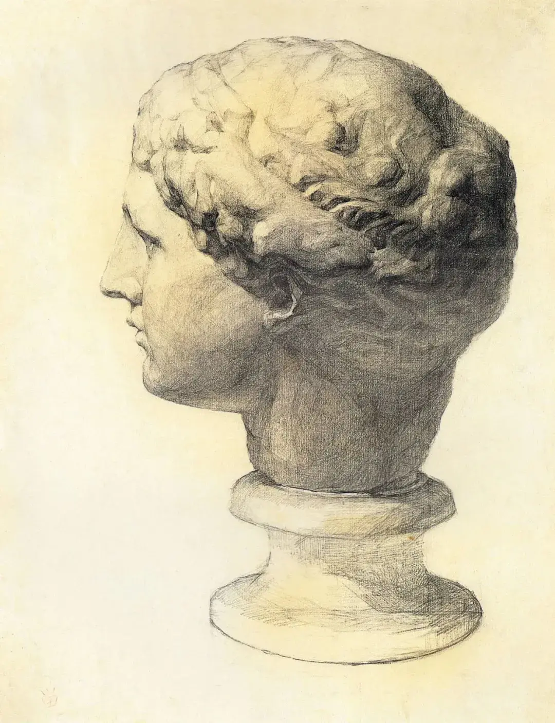 石膏像素描人物及名字