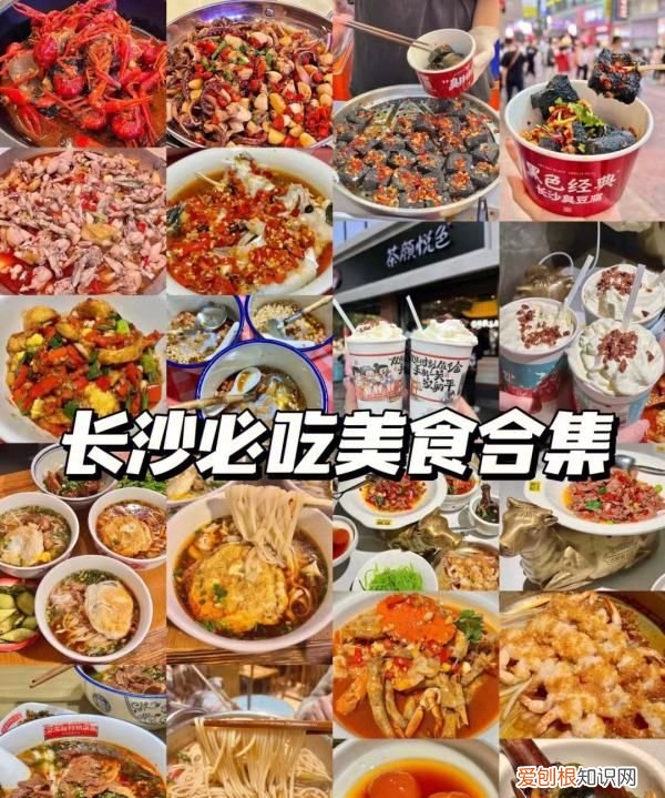 湖南旅游攻略，岳麓山怎么预约